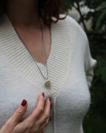 Pinecone ~ Pigna
